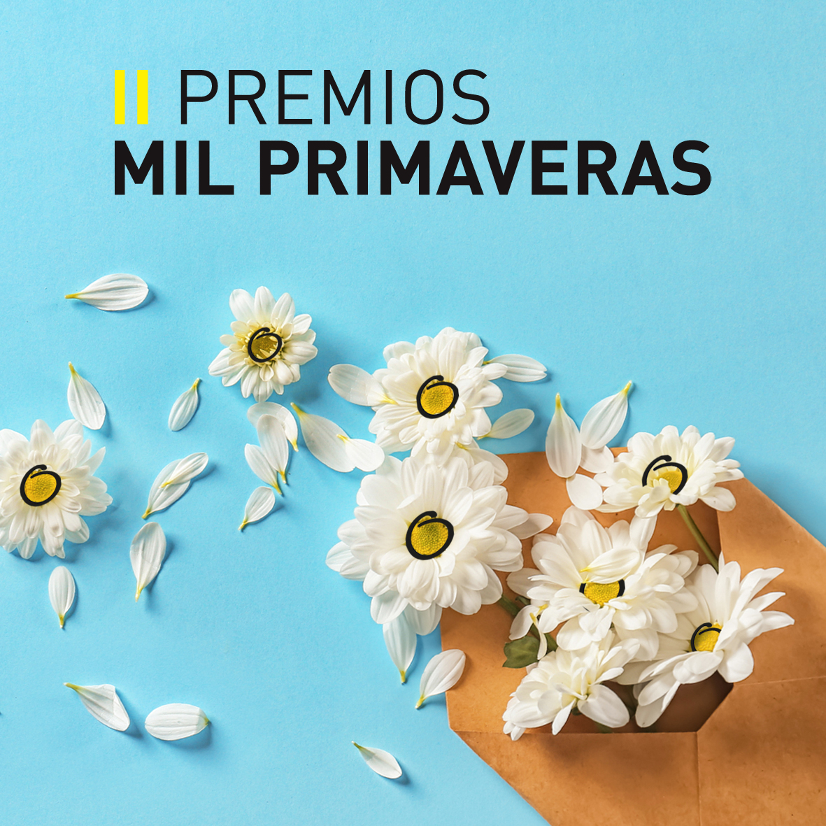 II Premios Mil Primaveras a proxectos de posta en valor e e fomento do galego