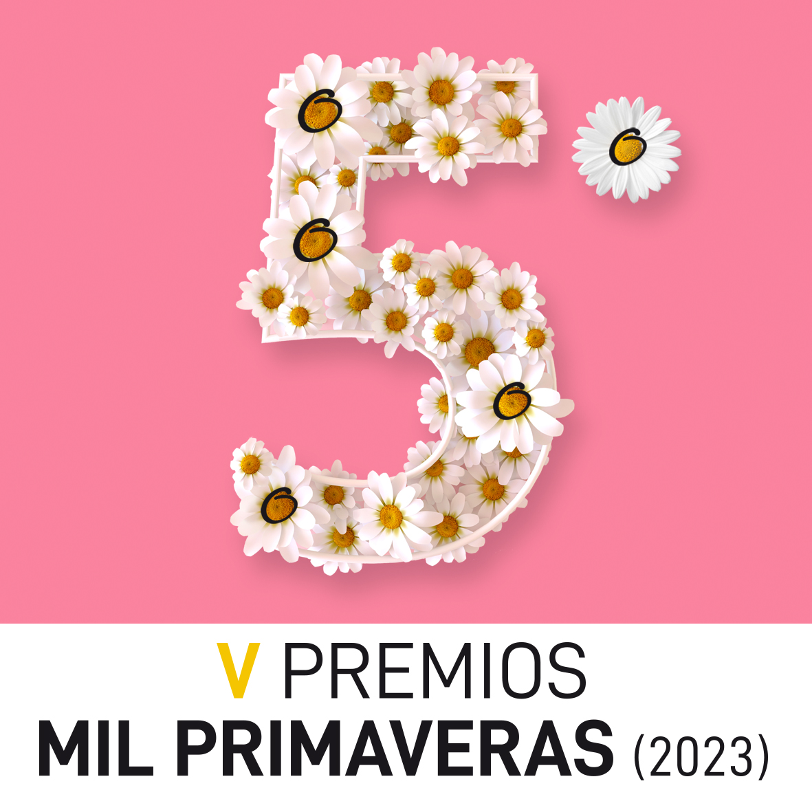 V Premios Mil Primaveras